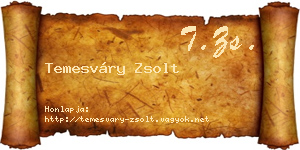 Temesváry Zsolt névjegykártya