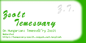 zsolt temesvary business card